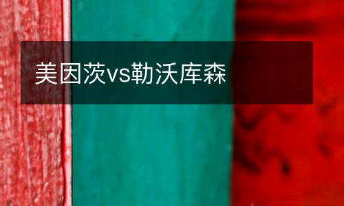 美因茨vs勒沃庫森