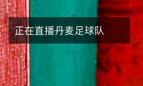 正在直播丹麥足球隊(duì)