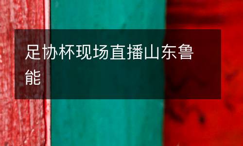 足協杯現場直播山東魯能